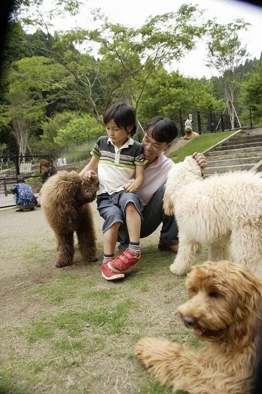 関東近郊の犬とふれあえる施設8選 動物園 テーマパーク併設も