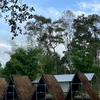 ซุ้ม เพชรบ้านกล้า ฟาร์ม