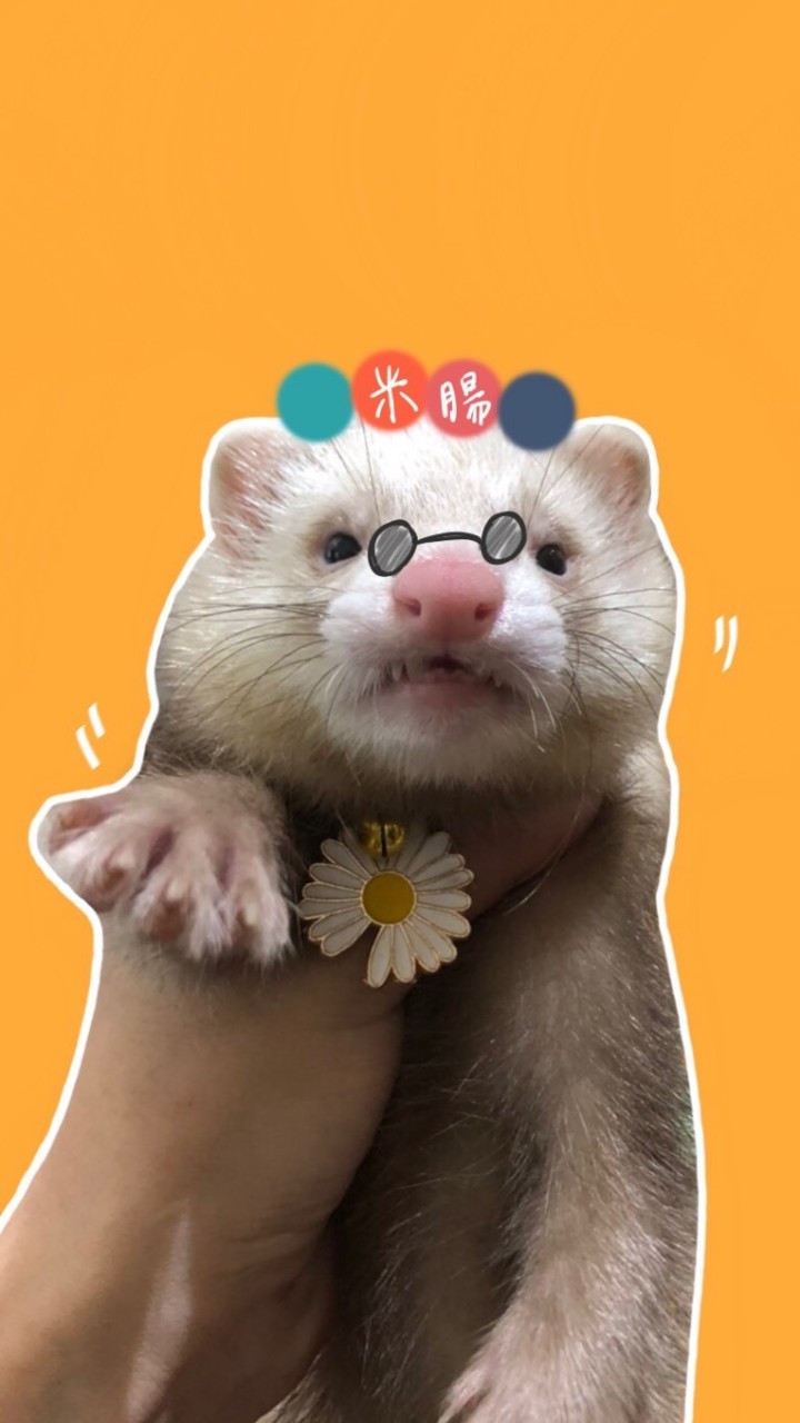 ：貂ㄗㄡ匯：交流分享