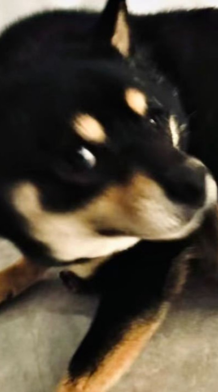 888888888888888888988888888888