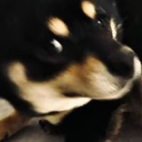 888888888888888888988888888888