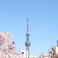 dokiii🇯🇵加入社群接收第一手消息( ◡̉̈ )✌︎