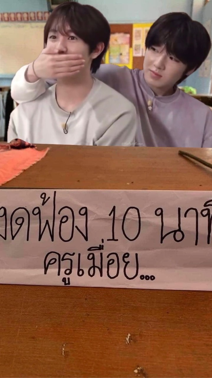 แมวเป้า