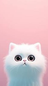 กดสั่งของ Tiktok/Lazada/Shopee