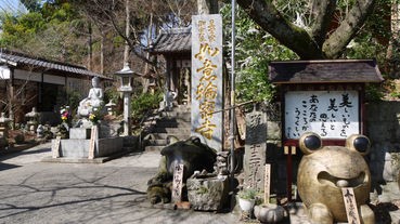 治癒的親子青蛙寺