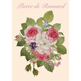 ピエール ドゥ ロンサール