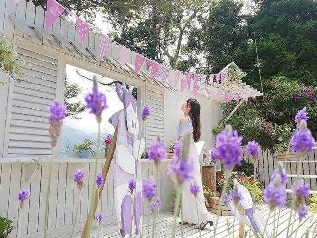 薰衣草森林 薰衣草森林｜新竹景點 | 夢幻紫色薰衣草來襲！地中海愛情鐘樓/薰衣草花園/希望之丘《情侶約會景點、親子景點》 3 2023