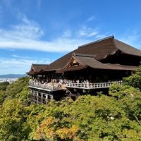 【関空組】7/4〜7/7 novis 香港旅行