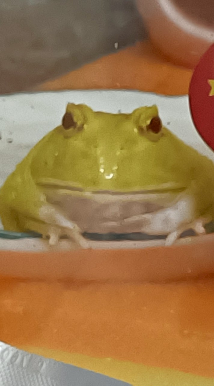 蛙蛙群