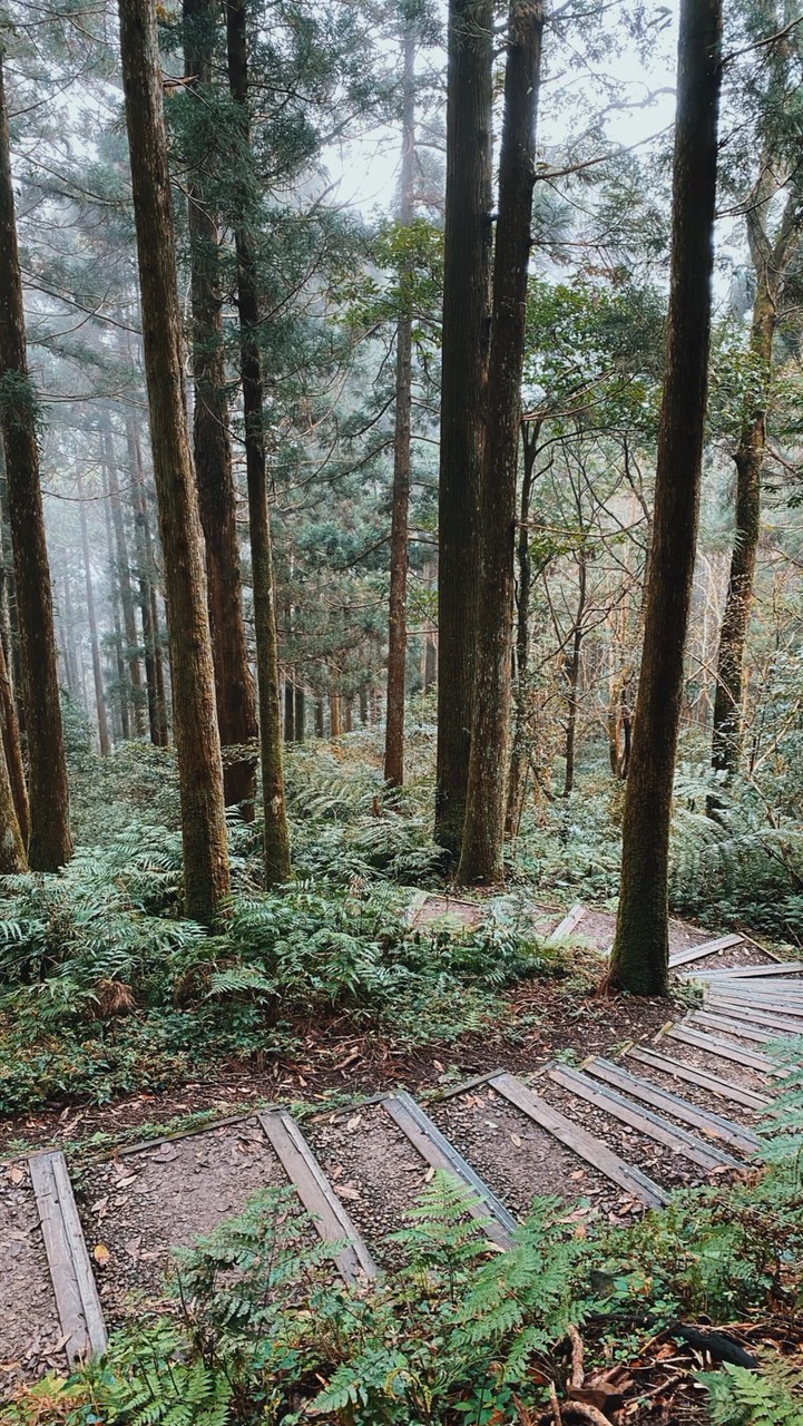 Hiking!登山健行走走走🤟🏽