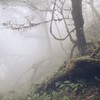 Hiking!登山健行走走走🤟🏽