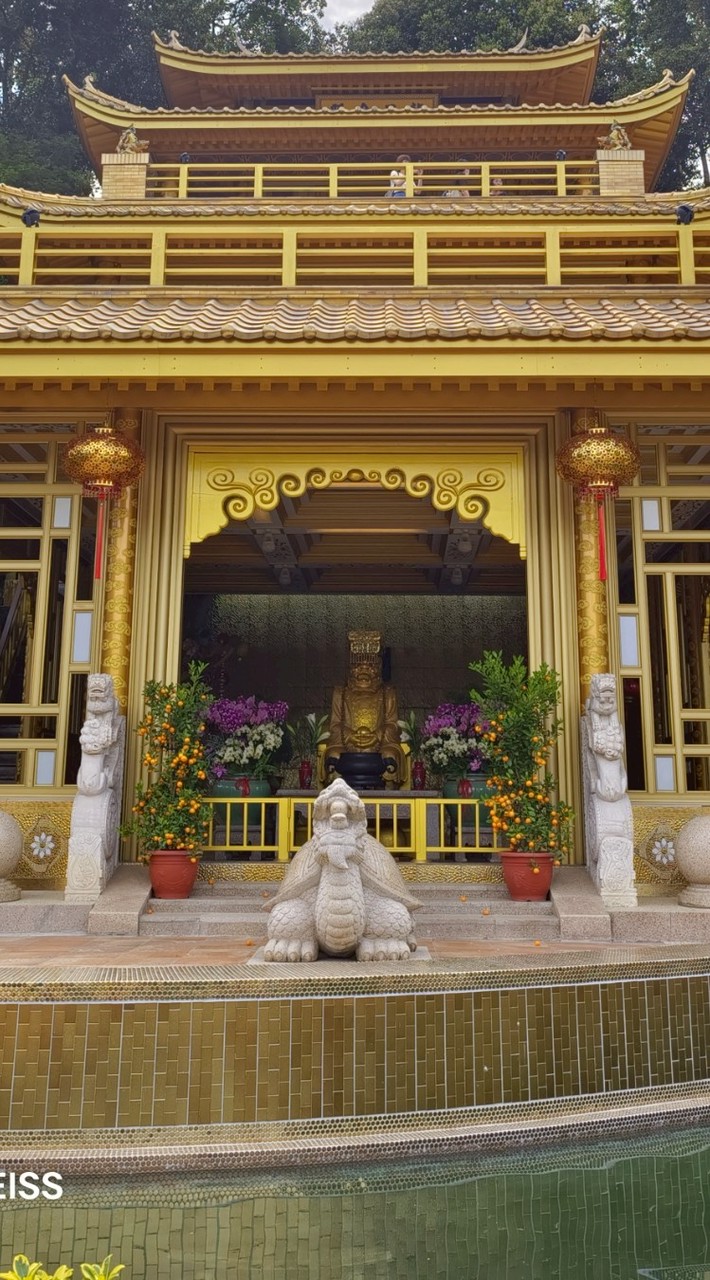 小寶貝