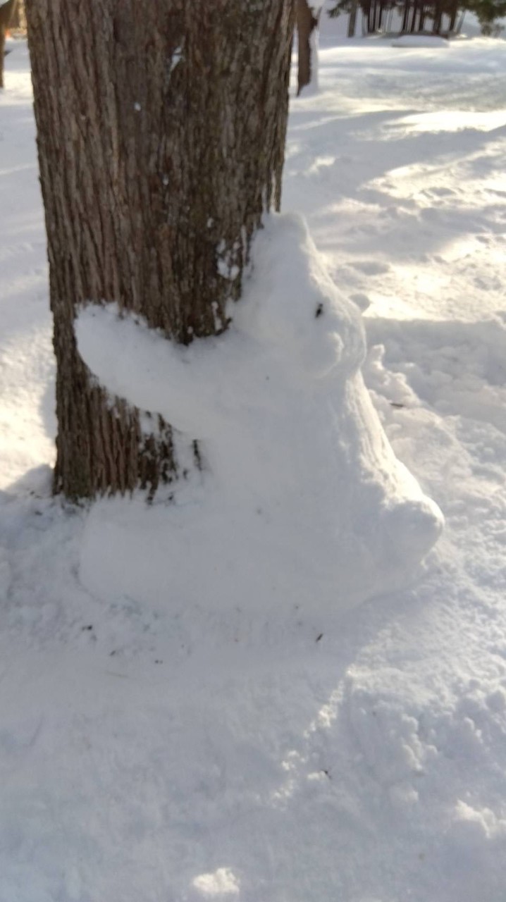 黄金北町内会　育成部