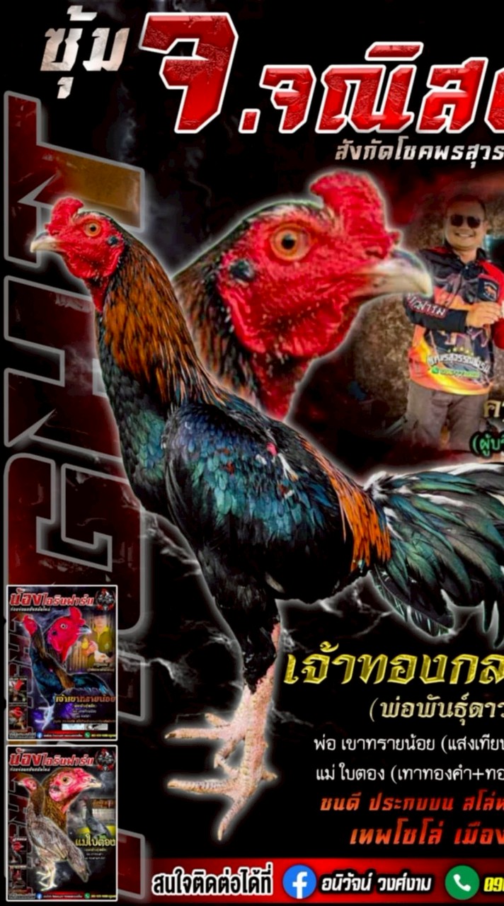 จ.จณิสตา โชคพรสุวรรณฟาร์ม