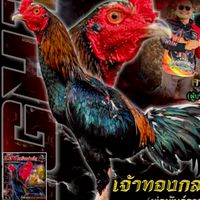 จ.จณิสตา โชคพรสุวรรณฟาร์ม