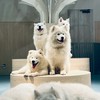 関西非喫煙者の集い🐶ぼーの部屋🍙30代40代
