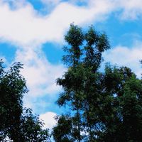 元智野餐社