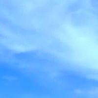 大宇七美尚青海產零售、批發平台