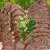 賜也家-滷牛肉《300克380元，🈵2000元～免運》-