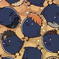 【ハイフラ】飛べないカラス