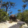 関西　登山好き集まれ〜！！🗻【初心者歓迎】（大阪府　京都府　兵庫県　滋賀県　奈良県　和歌山県　）登山