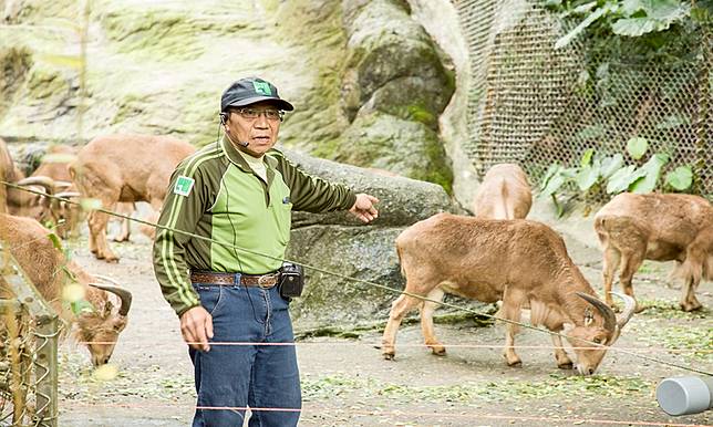 動物保育員張天勇 比照顧獅子更危險的動物是 I Media愛傳媒 Line Today