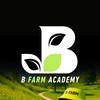 BFarm 播種村｜播種有道  收割無情