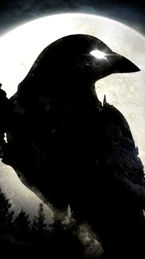 夜鴉NIGHT CROWS 鑽石群