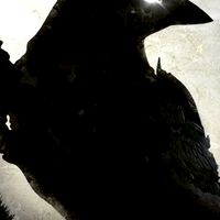 夜鴉NIGHT CROWS 鑽石群