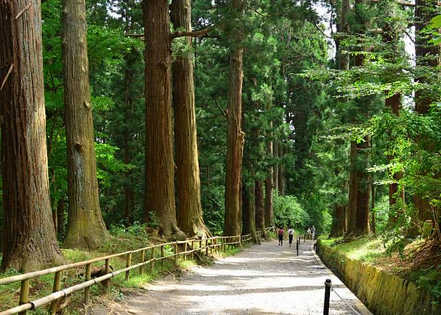 走訪日本的世界遺產～平泉黃金文化、淨土庭園- LINE旅遊