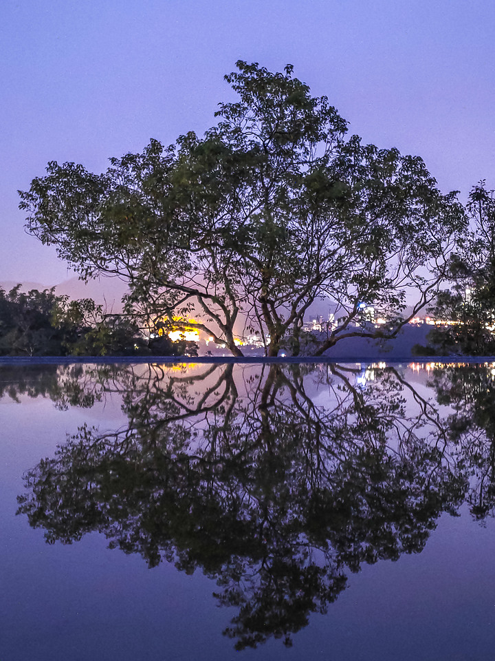 ASUS ZenFone6 使用一年的心得：拍攝倒影的最佳利器 (圖多)