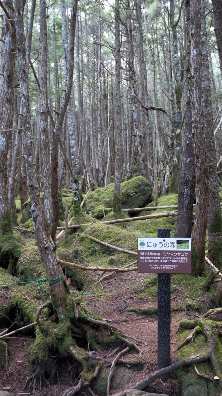 山歩きの仲間を募集しています(男性限定)
