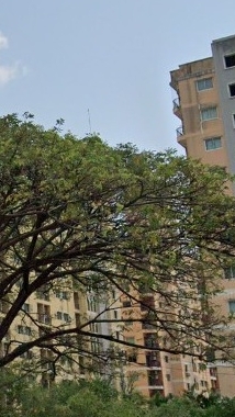 City Home Srinakarin