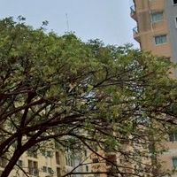 City Home Srinakarin