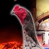 ส.สุทิตย์ฟาร์ม ไก่ชน