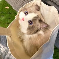 富邦更衣室