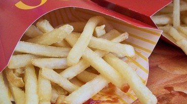 麥當勞上次邀節目來闢謠 結果再公開「薯條」含 14 種化學成分和 2 次油炸過程