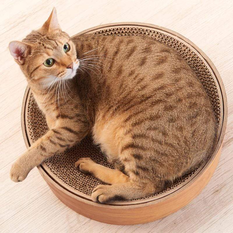 產品特色 圓窩式抓盆再升級 內窩為可拆替式抓板 讓CP值 UP UP↑↑↑ 產品介紹 捲在圓窩中的安心舒適 冷不防時還可以抓兩下 新款可替換式的圓窩抓抓 可單獨更換內蕊 讓整組的貓抓CP值提升 貓奴們