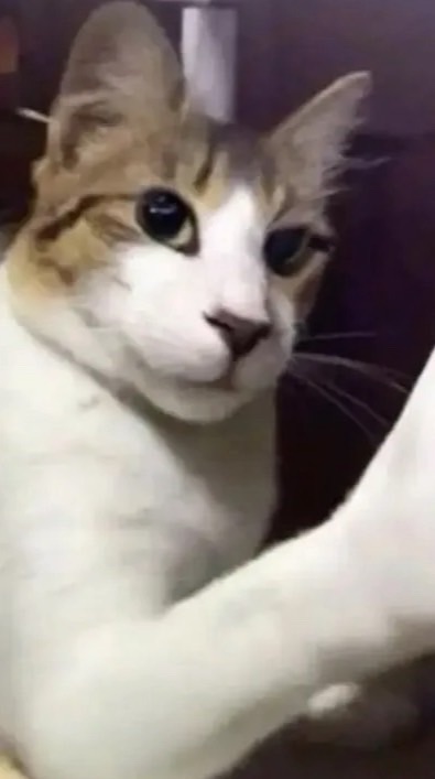 เหงาหาเพื่อนออนไลน์
