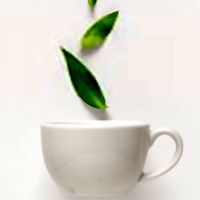 中華茶藝交流社群CTTC