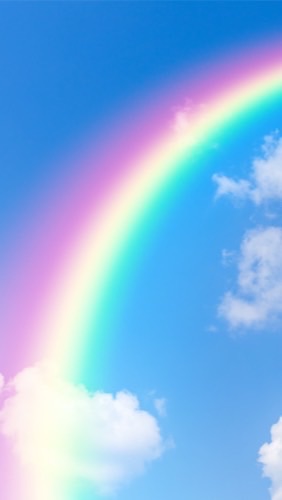 rainbowsの会