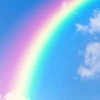 rainbowsの会