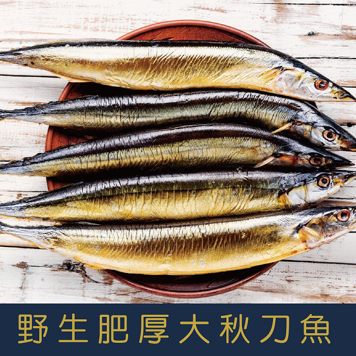 野生肥厚大秋刀魚 500g±5% (約4-5隻)