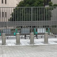 政治評議会