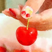 菁選菓子