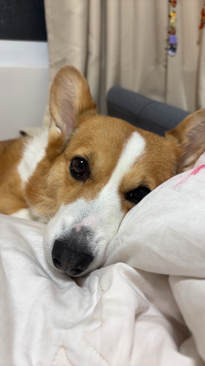 慧文