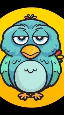 🦉The Bird Coin🦉（THEBIRD） OpenChat