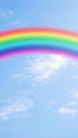 🌈RainbowBaby🌈(12週後死産後限定)