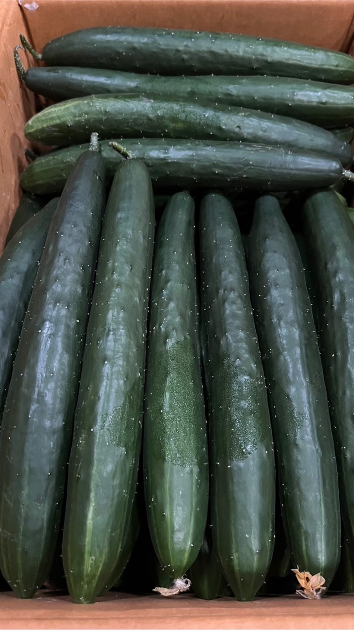 ผักเมืองหนาว ผลไม้เมืองหนาว ตลาดไท ตลาดสี่มุมเมือง