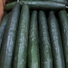 ผักเมืองหนาว ผลไม้เมืองหนาว ตลาดไท ตลาดสี่มุมเมือง